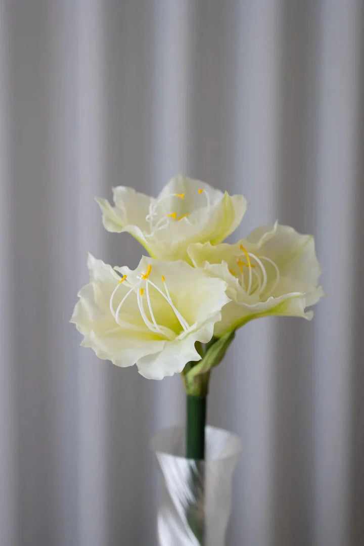 Bloom Objects - Artificial Amaryllis - White 02-434 - White Dekoration 
