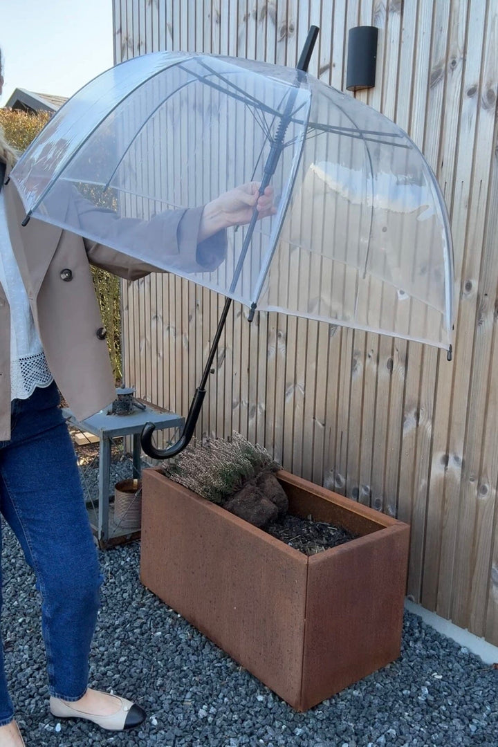 Mellow Moon - Transparent Umbrella 6511 - Black Paraply 