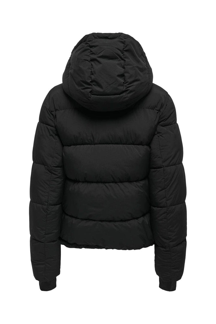 Only - Onlann Premium Puffer Jkt Regular - 4318648 Black