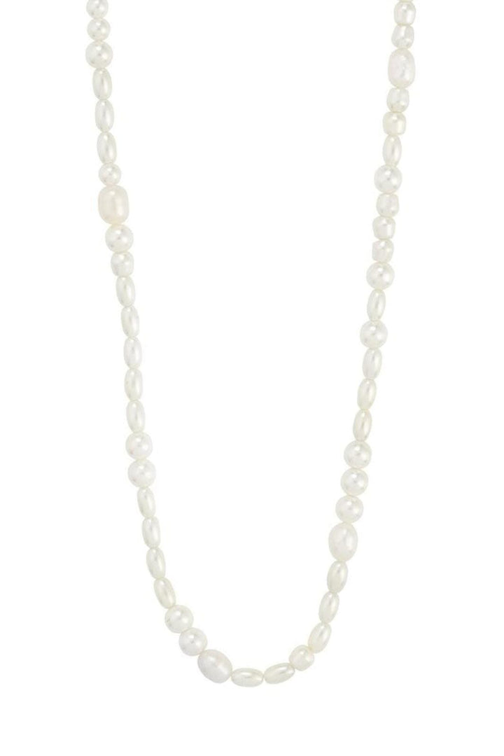 Pilgrim - Elliana Necklace Silver-plated 612536001 - Silver Plated